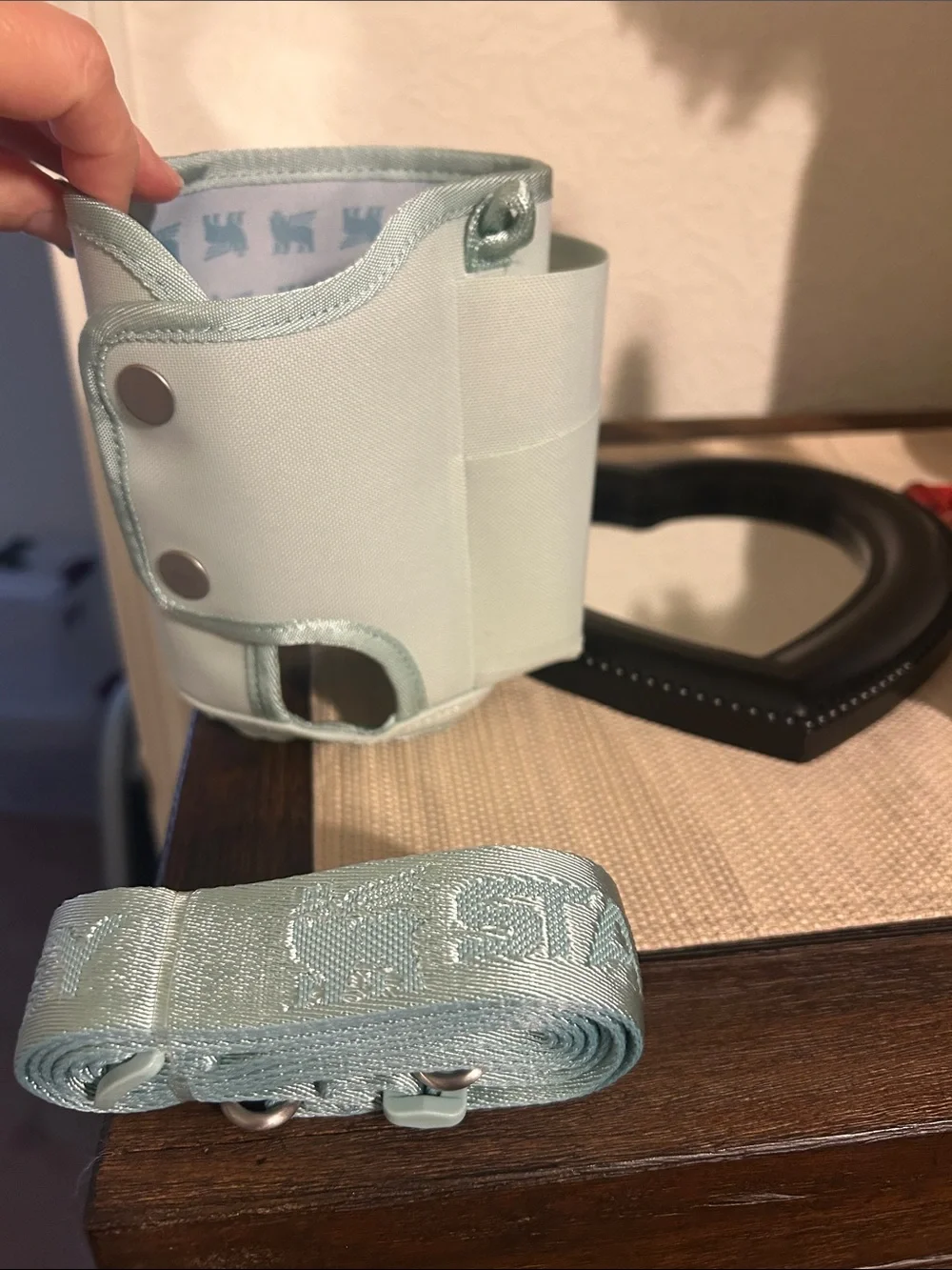 Stanley Mint 40oz Quencher Carry-All Crossbody Bag